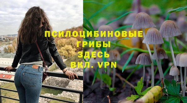 мяу мяу мука Богородск